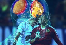 Headers Soccer Concussions Brain Injuries