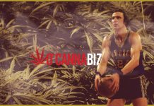 The Key Players Making Pot Their Business Cannabiz Business